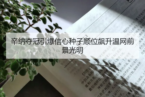 xin-na-duo-guan-yin-bao-xin-xin-zhong-zi-shun-wei-biao-sheng-wen-wang-qian-jing-guang-ming-2-996.jpg